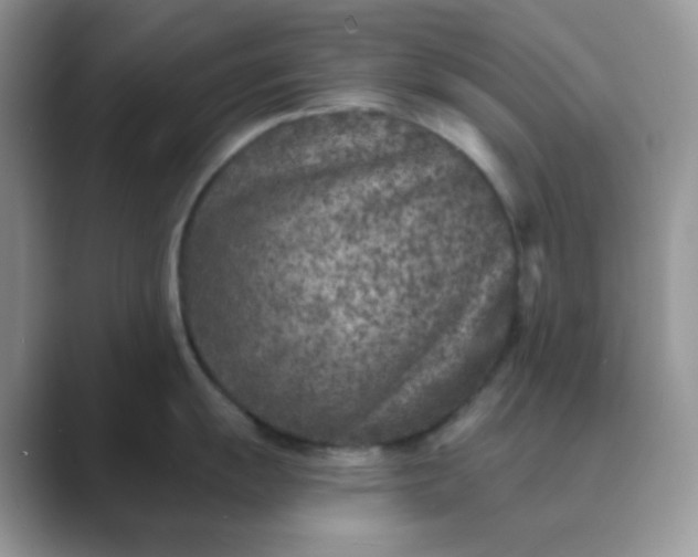 X0000089681055200707051603