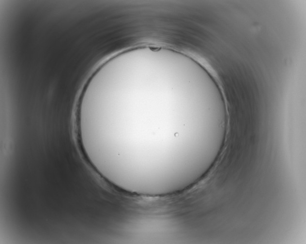 X0000089681056200707051603