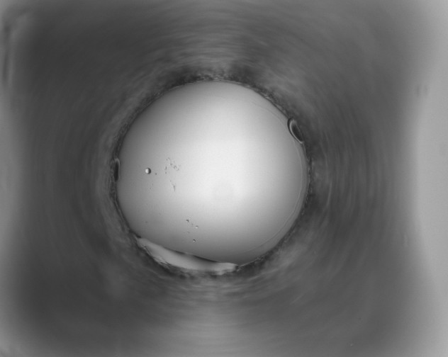 X0000089681057200707051602