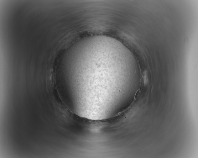 X0000089681059200707051602