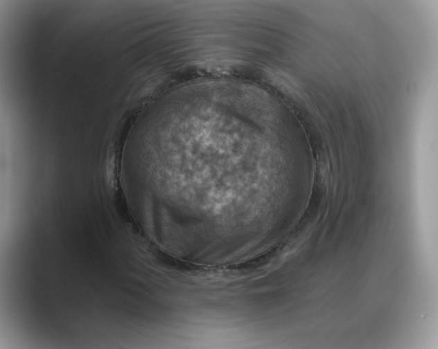 X0000089681060200707051602