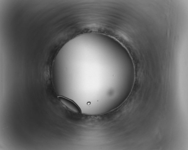 X0000089681062200707051602