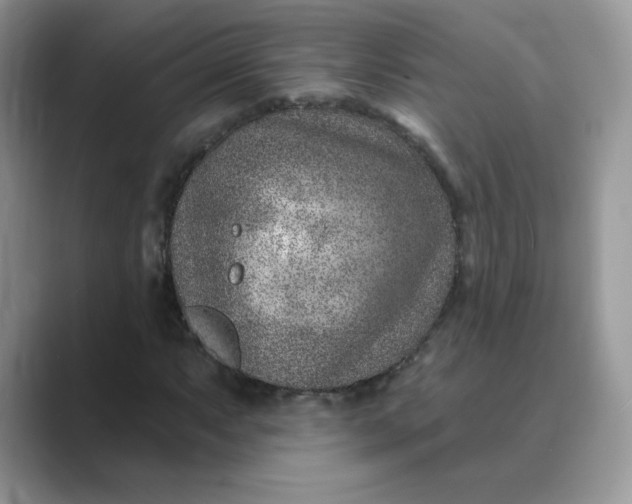 X0000089681063200707051602