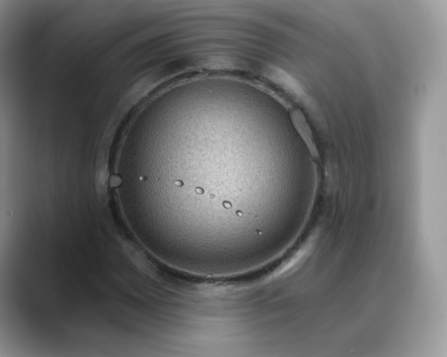 X0000089681065200707051602
