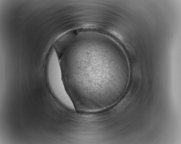 X0000089681066200707051602