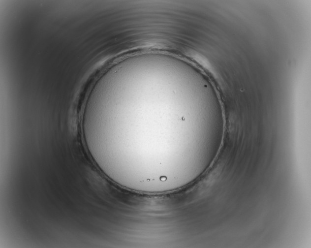 X0000089681067200707051602