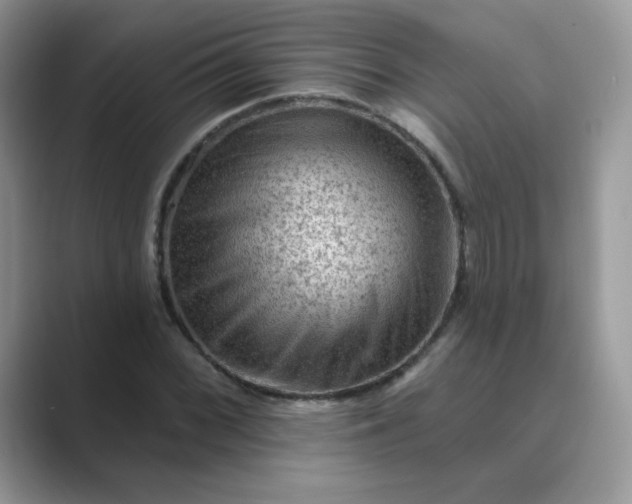 X0000089681068200707051602