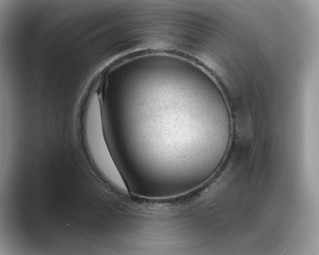 X0000089681070200707051602