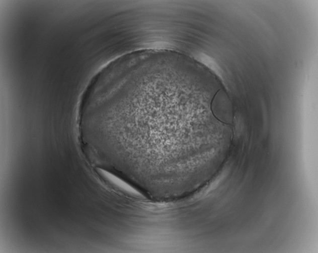 X0000089681071200707051602