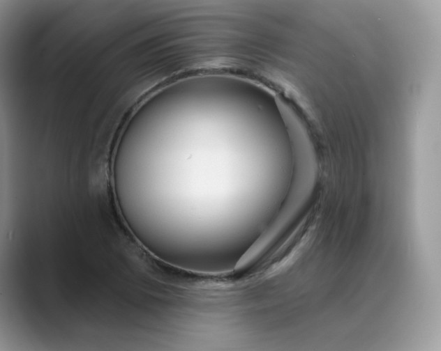 X0000089681073200707051602