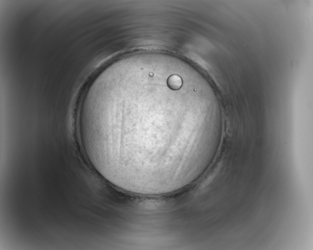 X0000089681074200707051602