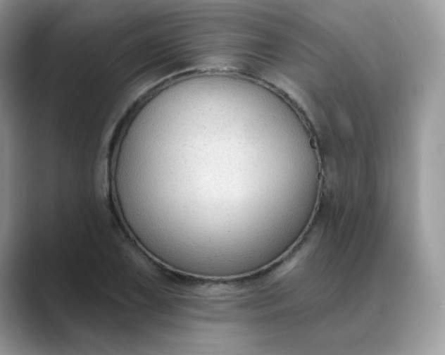 X0000089681075200707051602