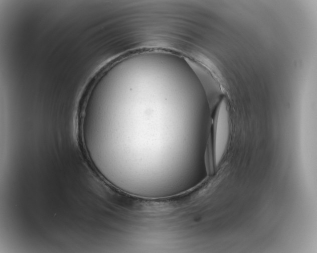 X0000089681076200707051602