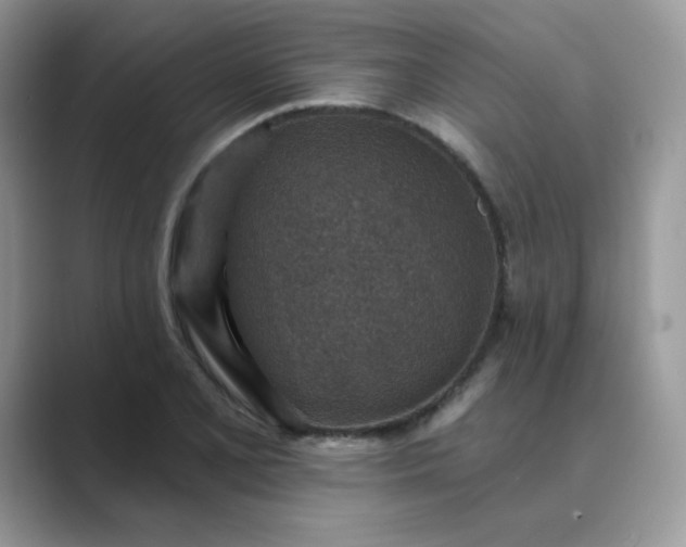 X0000089681077200707051602
