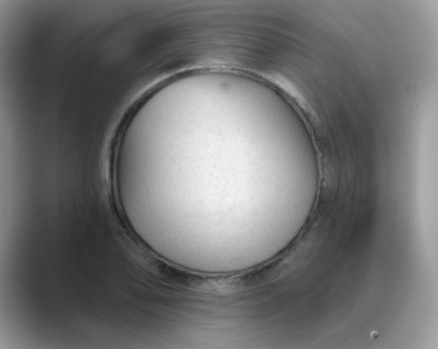 X0000089681078200707051602