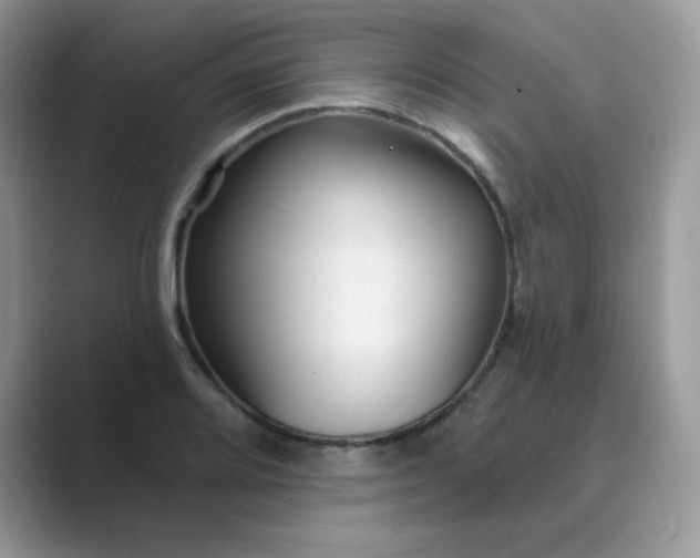 X0000089681080200707051602