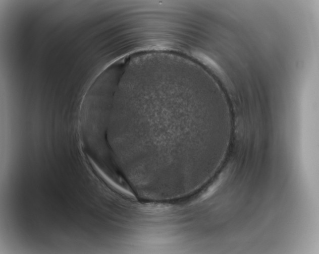 X0000089681081200707051602