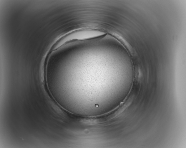 X0000089681083200707051602