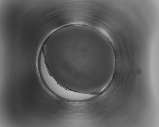 X0000089681084200707051602