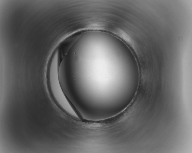 X0000089681085200707051602