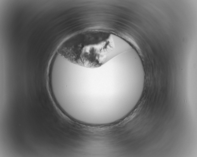 X0000089681087200707051602