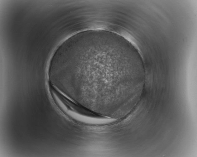 X0000089681088200707051602