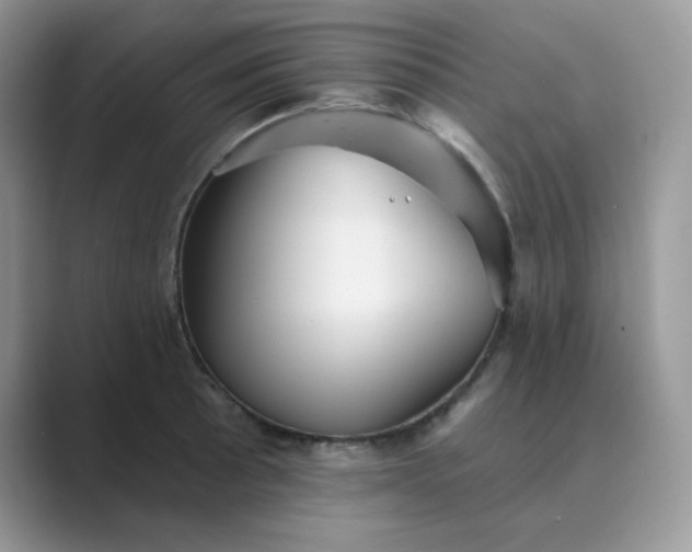 X0000089681089200707051602