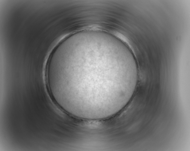 X0000089681090200707051602