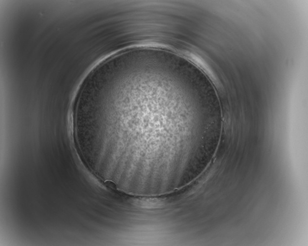 X0000089681092200707051602