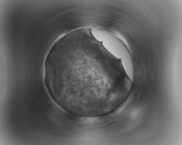 X0000089681095200707051602
