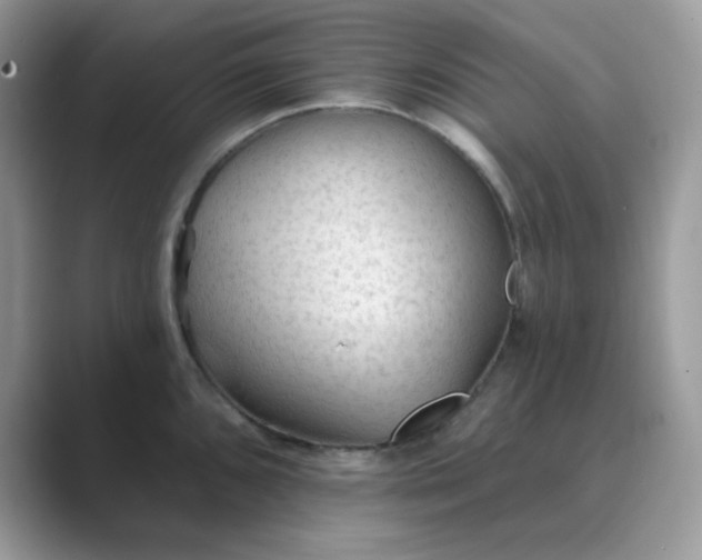 X0000089681096200707051602