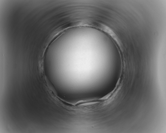 X0000089681097200707051602