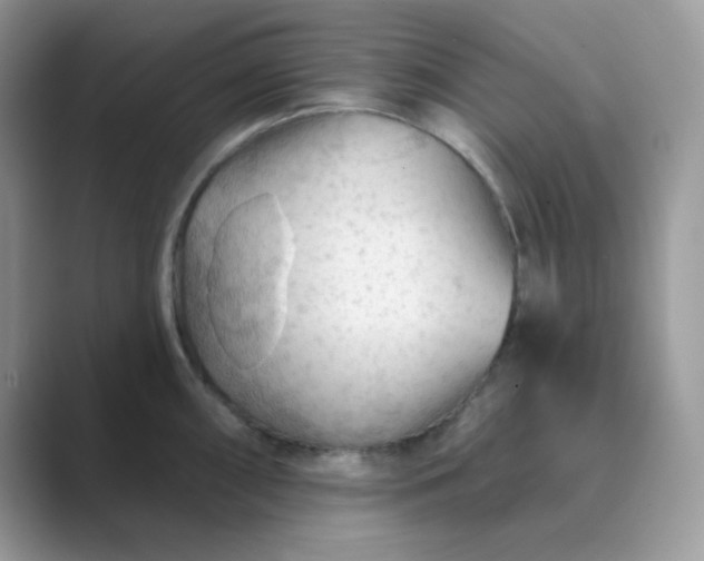 X0000089681098200707051602
