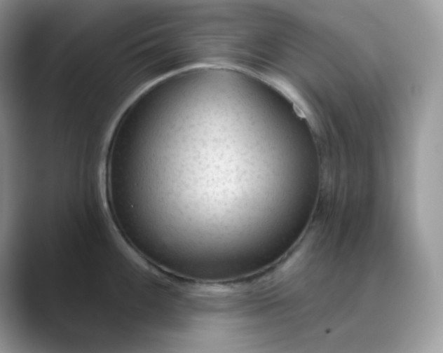 X0000089681100200707051602