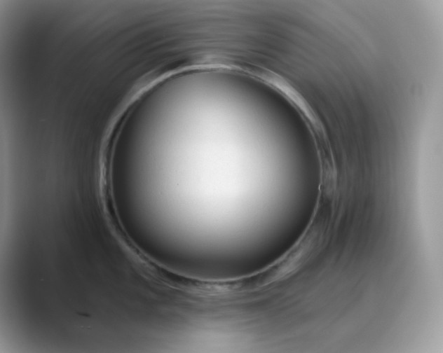 X0000089681101200707051602