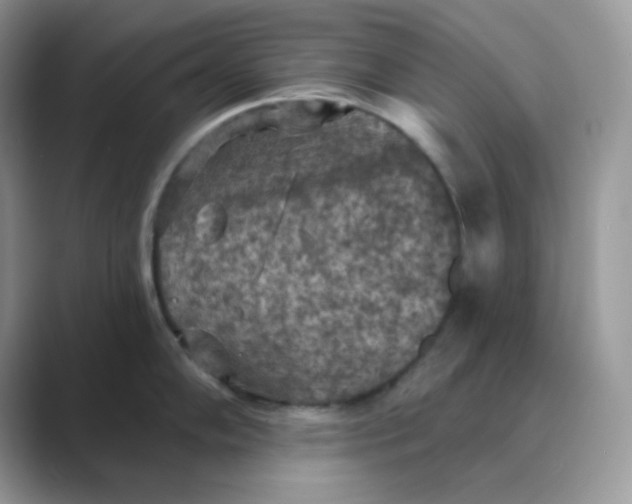 X0000089681102200707051602