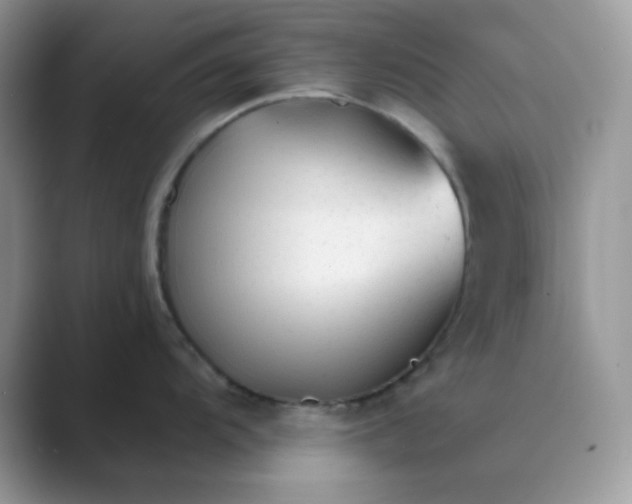 X0000089681104200707051602