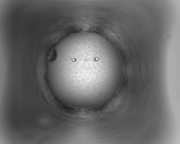 X0000089681105200707051601