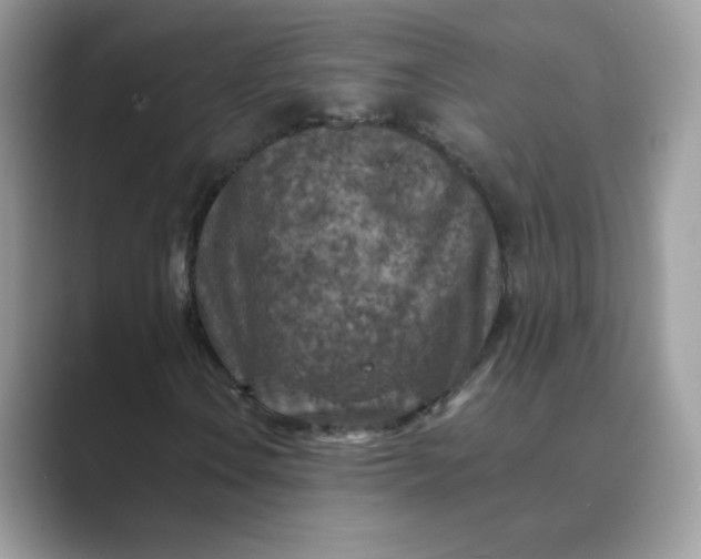X0000089681106200707051601
