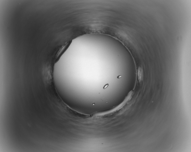 X0000089681107200707051601