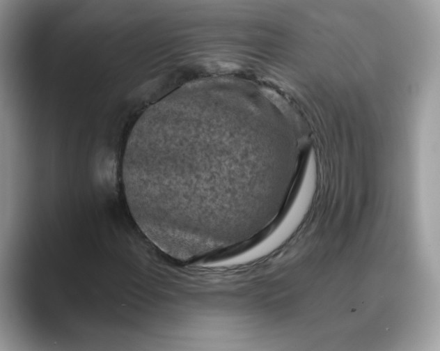 X0000089681108200707051601