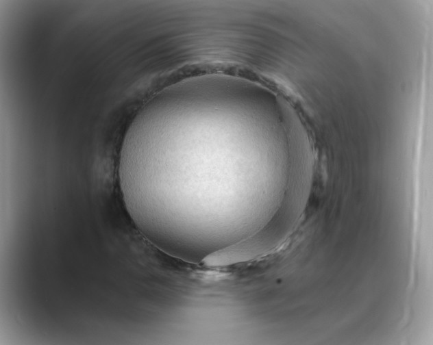 X0000089681110200707051601
