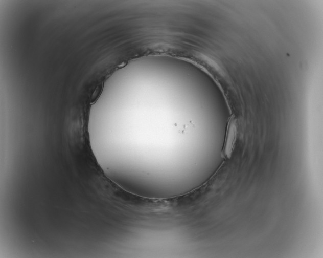 X0000089681111200707051601