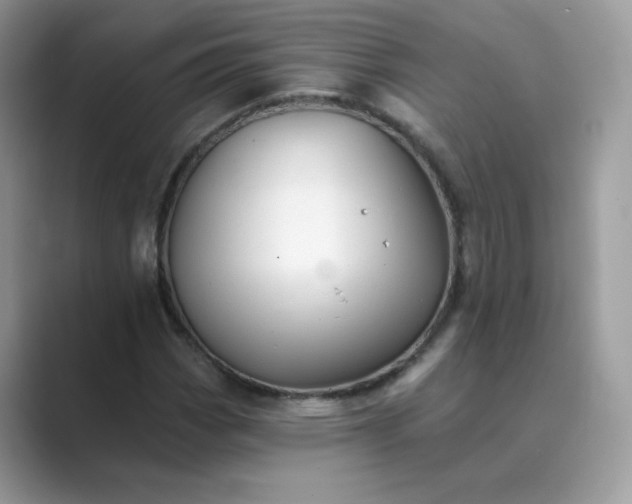 X0000089681113200707051601