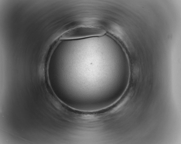 X0000089681114200707051601