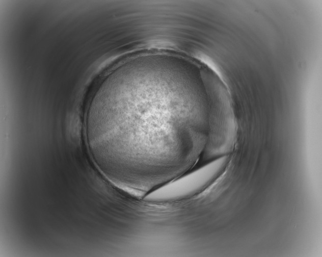 X0000089681115200707051601