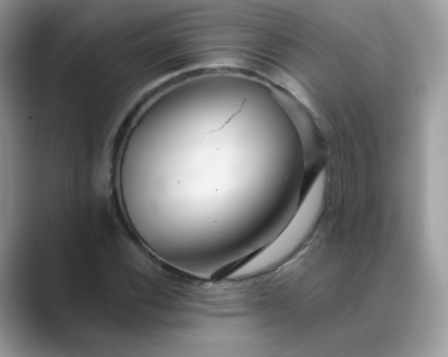X0000089681116200707051601
