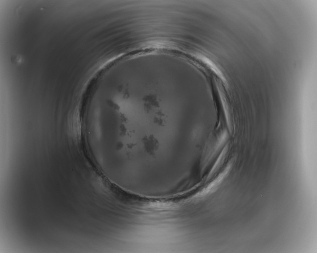 X0000089681117200707051601