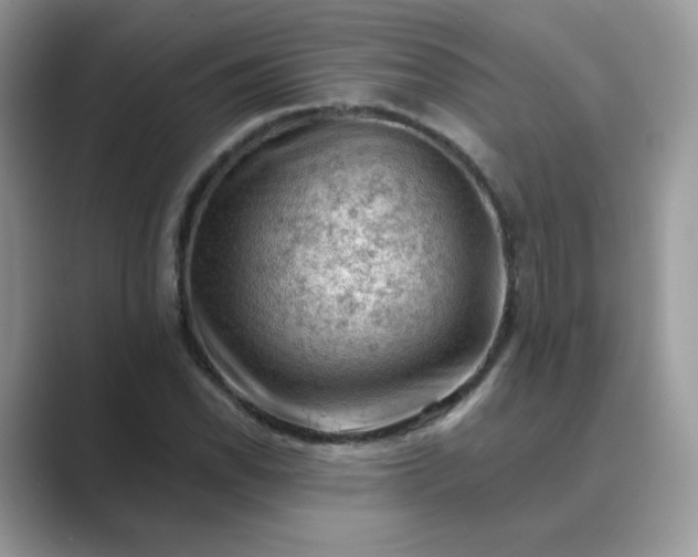 X0000089681118200707051601