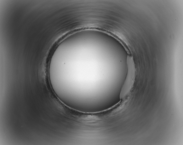 X0000089681119200707051601